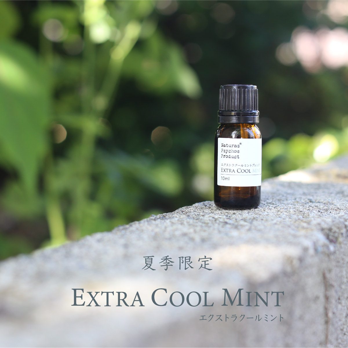 エクストラクールミント エッセンシャルオイル