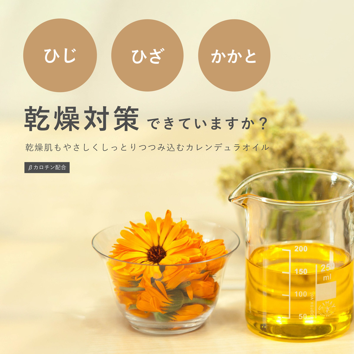キャリアオイル乾燥対策特集