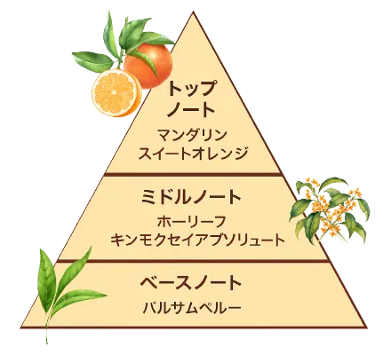 夏が来るたびに、こんなモヤモヤを感じていませんか？
