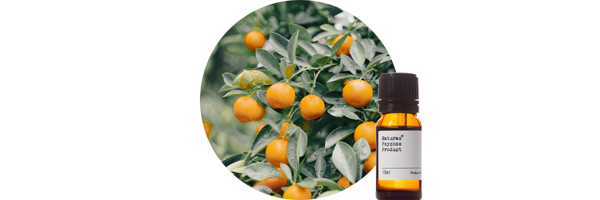 マンダリンコールドプレストエッセンシャルオイル、アロマオイル、エッセンシャルオイルの通販