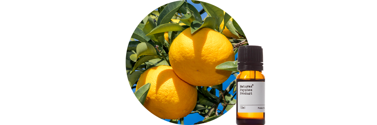 グレープフルーツホワイトエッセンシャルオイル、アロマオイル、エッセンシャルオイルの通販