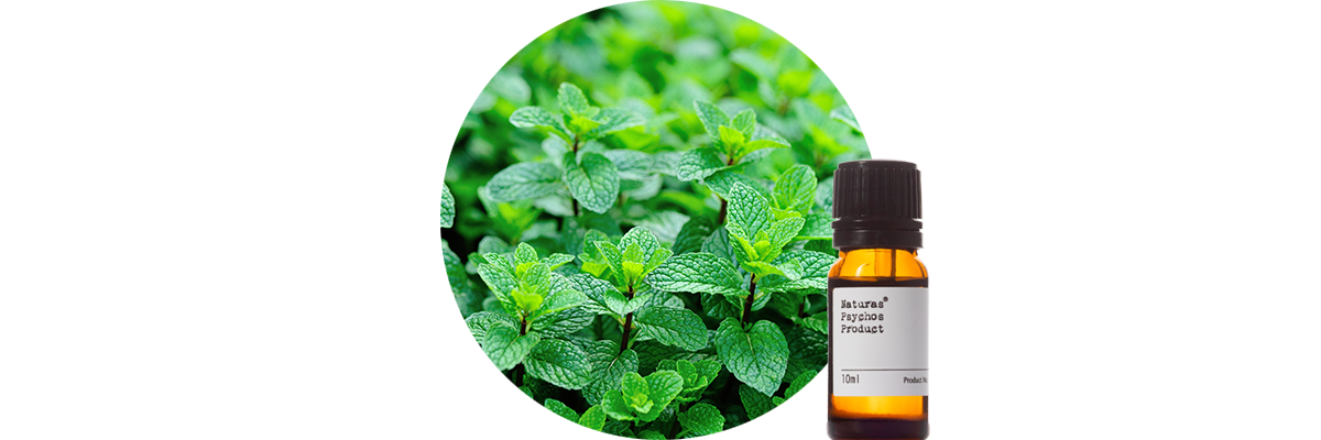 ペパーミントプレミアムエッセンシャルオイル、アロマオイル、エッセンシャルオイルの通販