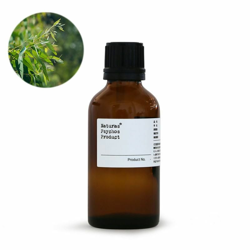 ユーカリグロブルスエッセンシャルオイル/EBG 50ml | アロマオイル