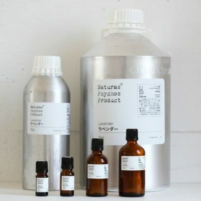 新ブレンド集中】【集中力をUPしたいときに】FOCUS（フォーカス